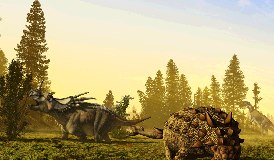 Share your hopes and dreams this World Wish Day!