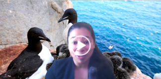 A special thank you message from our Northern Project researchers!