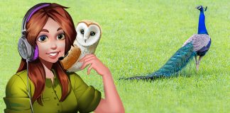 Podcast: The Peacock Monkey Situation and other Animal Encounters