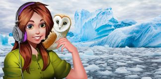 Podcast: The Big Melt – We ♥ the North!