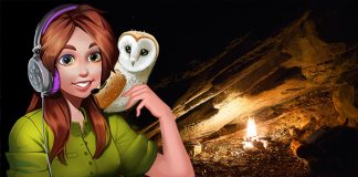 Podcast: Adelia Goodwin’s Secret Journal – A Fireside Chat