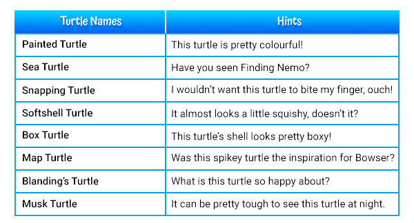 hints-name-that-turtle