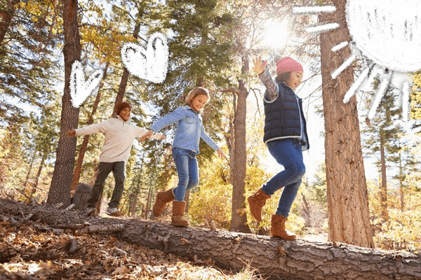kids-hike-in-forest-2