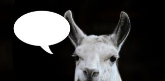 Caption This! What’s This Llama thinking?