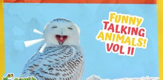 Funny Talking Animals – Volume 2