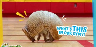 Who’s This Creature Running Around Our School??