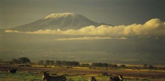 The Tallest Mountain