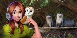 Podcast: Sleek, Tubular and Incredibly Adorable – Meet: The River Otter