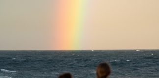 Are you a Shoreline Saver?