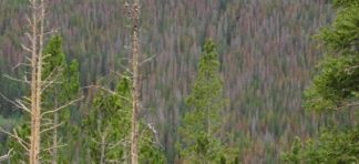 Climate Change and Biodiversity: It’s Complicated