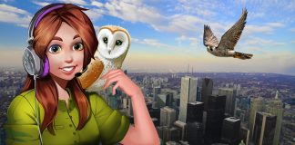 Podcast: Uptown Squirrels, Penthouse Peregrines and Other