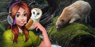 Podcast: The Ghost of the Great Bear Rainforest