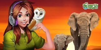 Podcast: Understanding “Elephant Speak” and the Animal that sound like a…Chain Saw?