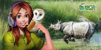 Podcast: Dreamy Foxes and the World’s Fattest Unicorn