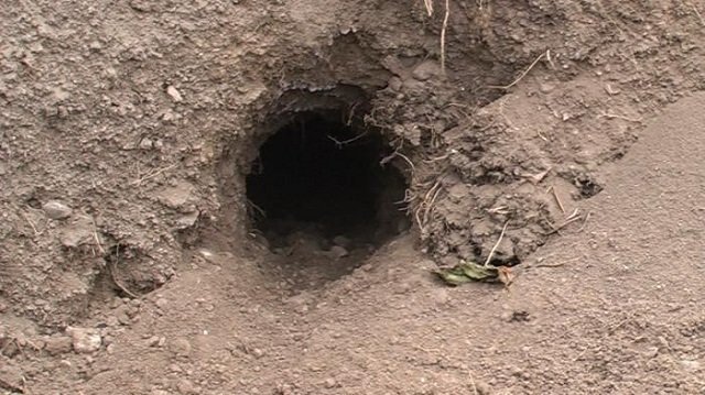 A rabbit hole