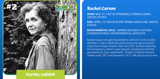 Eco All-Star #2: Rachel Carson