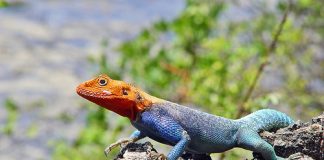 Showing Off Your Colour colourful agmas