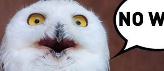 There’s a new type of energy in town…and it’s green!