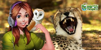 Podcast: LOL Mailbox: Rapid Fire Super Silly Animal Joke Special!