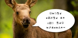 Can you decode this secret message?