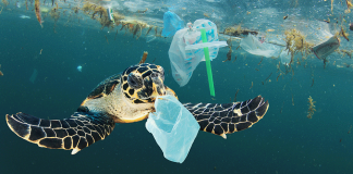 Your Next Mission: More Plastic, More Problems
