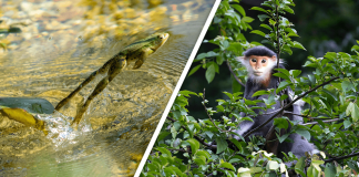 Would you Rather #27