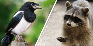 Would you Rather #28