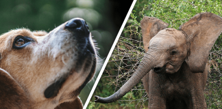 Would you Rather #29