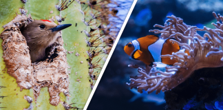 Would you Rather #30