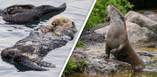 Would you Rather #31