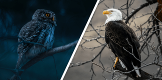 Would you Rather #32