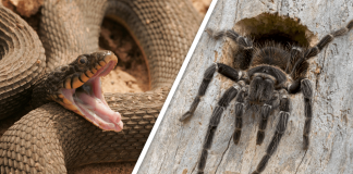 Would you Rather #33