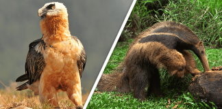 Would you Rather #34