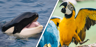 Would you Rather #35