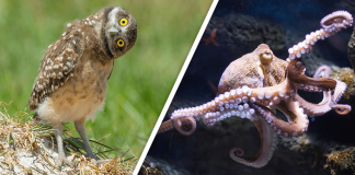 Would you Rather #39