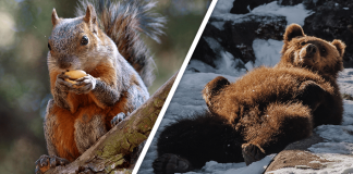 Would you Rather #41