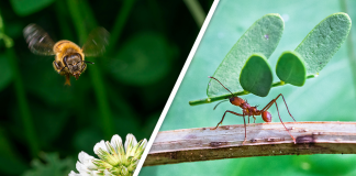 Would you Rather #63