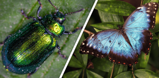 Would you Rather #43