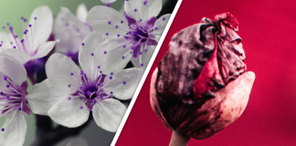 Would you Rather #82