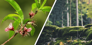 Would you Rather #40