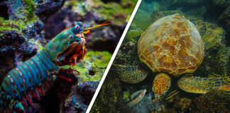 Would you Rather #64