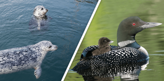 Would you Rather #44