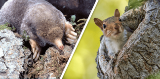 Would you Rather #36