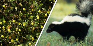 Would you Rather #42