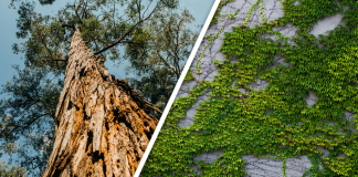 Would you Rather #38