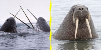 Would You Rather #10