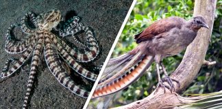 Would You Rather #24