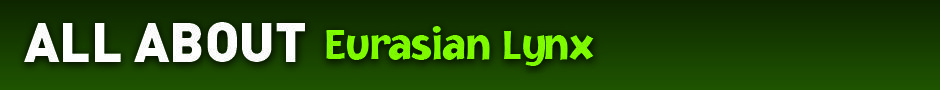 AllAbout_EurasianLynx