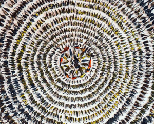 A portion of FLAP’s 2015 bird fatalities on display at the Royal Ontario Museum. For the full image, visit http://flap.org/images/rom_2016_layout_lg.gif. Photo credit: FLAP Canada