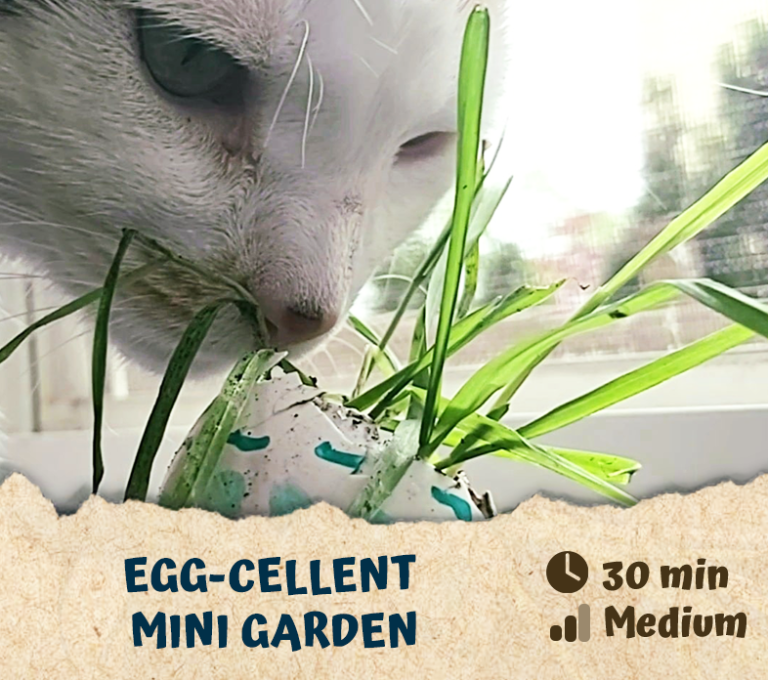 Egg-cellent mini garden